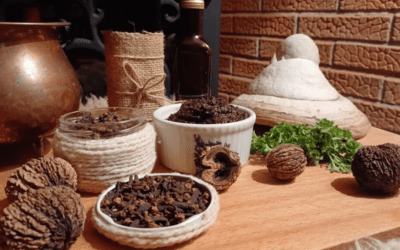 Un remediu anti-cancer – CUIȘOARELE