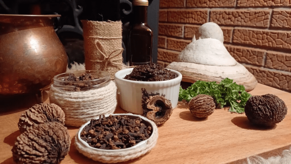 Un remediu anti-cancer – CUIȘOARELE