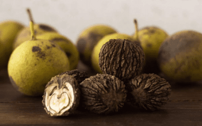 Elixirul vieții – Nuca neagră